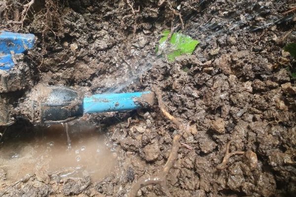 Water Mains Leak Detection Newmarket